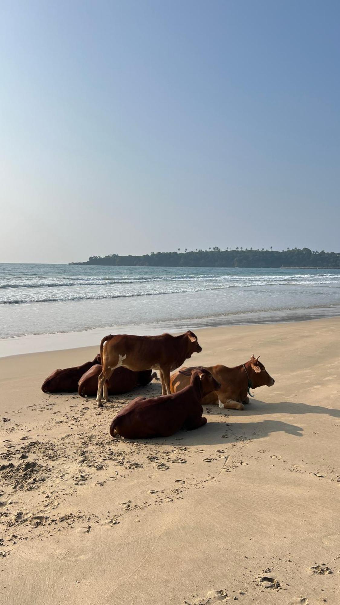 Relax Beach House Tangalle Exterior photo